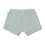 Back view of sage coloured ribbed shorts on a white background