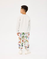 Back view of boy wearing ROCK YOUR BABY GREEN DINO LONG SLEEVE T-SHIRT which is plain grey marle