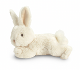 COMPENDIUM You Belong Here Bunny Plush