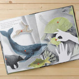 COMPENDIUM You Belong Here