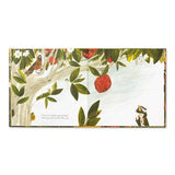 COMPENDIUM Tiny, Perfect Things