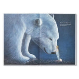 COMPENDIUM Books | Maybe - a hardcover children's book about the potential you hold inside | Kobi Yamada