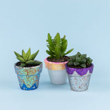 TIGER TRIBE Glitter Goo - Gemstone Sparkle decorated pot plants