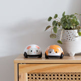 TIGER TRIBE Pull-Backs : Cat and Mouse sitting on table