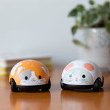 TIGER TRIBE Pull-Backs : Cat and Mouse