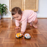 Baby playing with the TIGER TRIBE Pull-Backs : Cat and Mouse