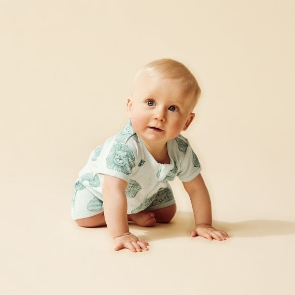 Baby kneeling wearing WILSON & FRENCHY Little Lion Organic Pointelle Boyleg Zipsuit