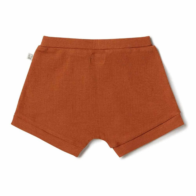 Back view of rust coloured ribbed shorts on a white background