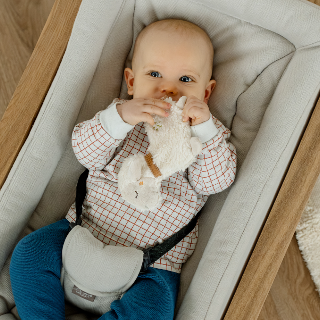 Baby in a crib holding a plush toy, wearing a checkered outfit and blue pants.