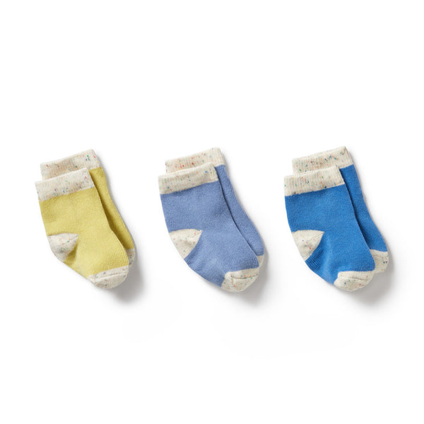 WILSON + FRENCHY Organic 3 Pack Baby Socks