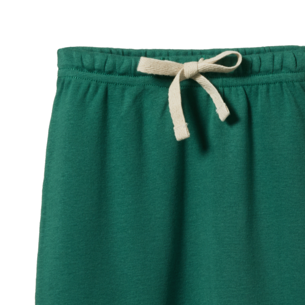 Green pants with a beige drawstring on a white background